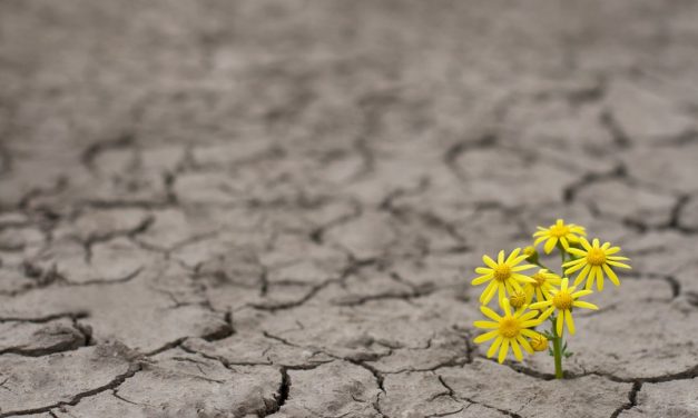 Create Resilience