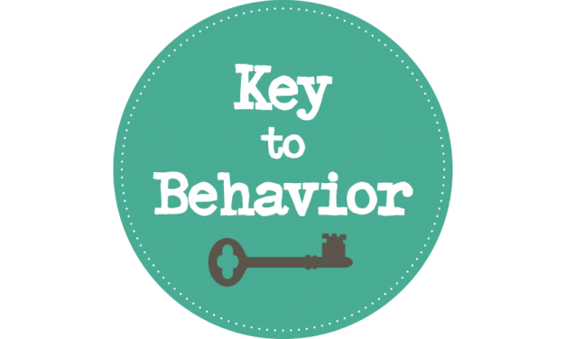 Create New Behaviours